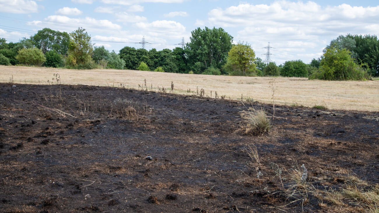 Scorched earth in a field with trees in the background.