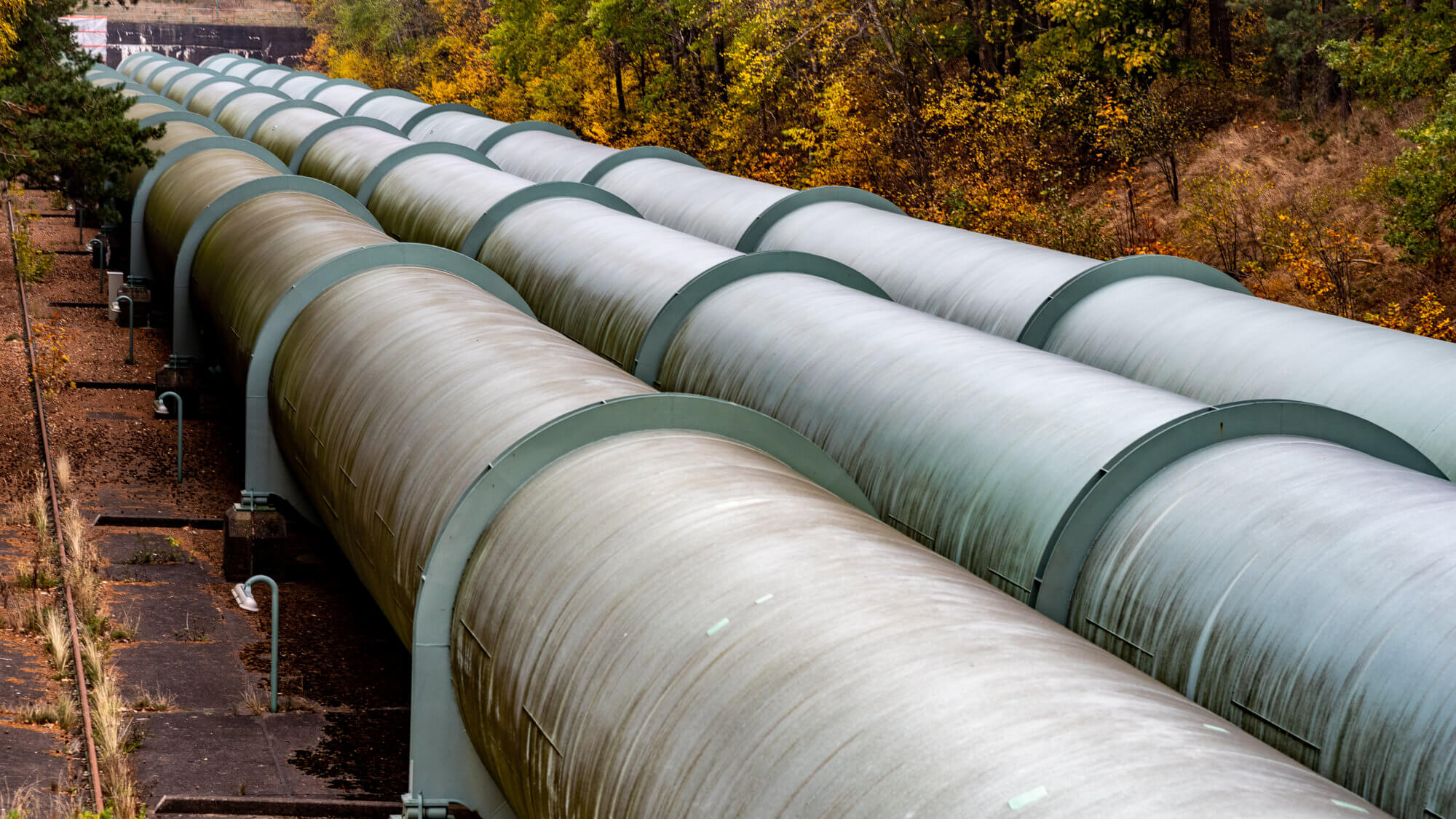 3 large pipes running in-between trees.