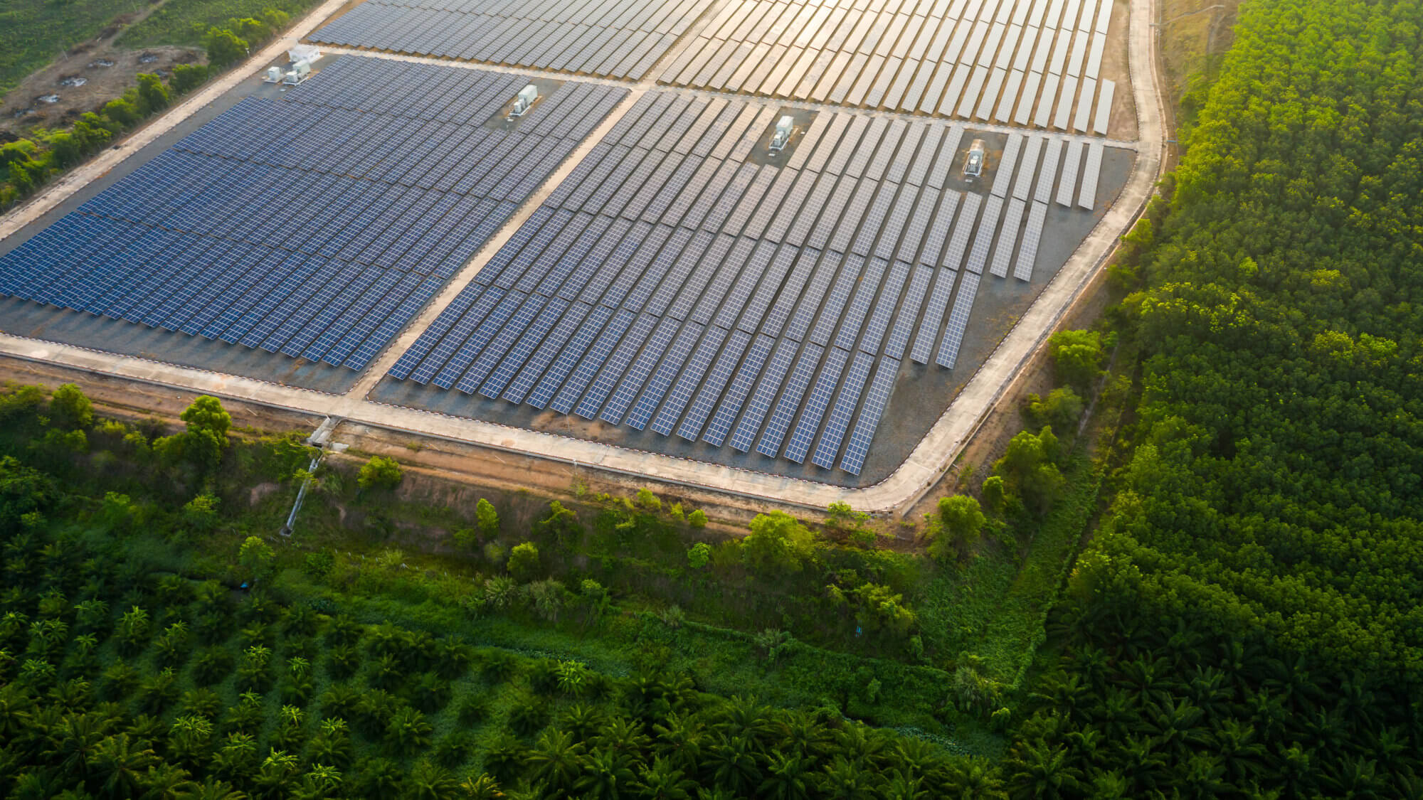 Area of land covered with solar panels with trees and vegetation surrounding.