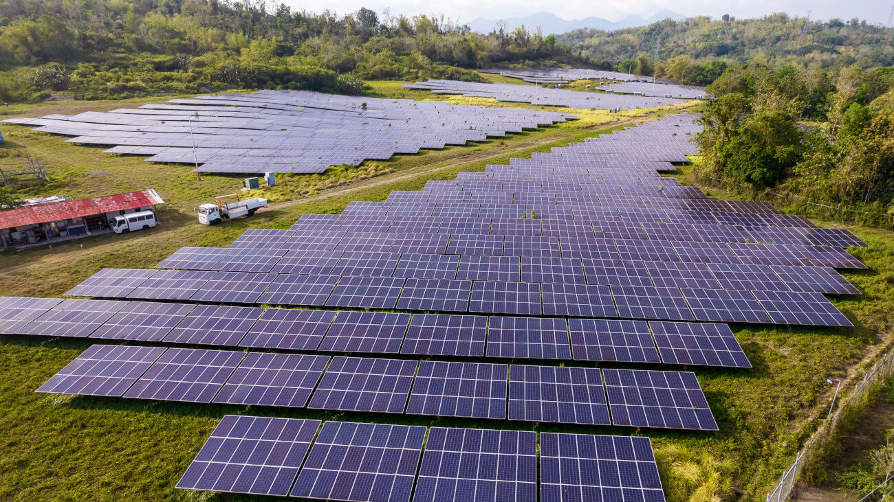 Rows of solar panels in cleared farmland surrounded by trees.