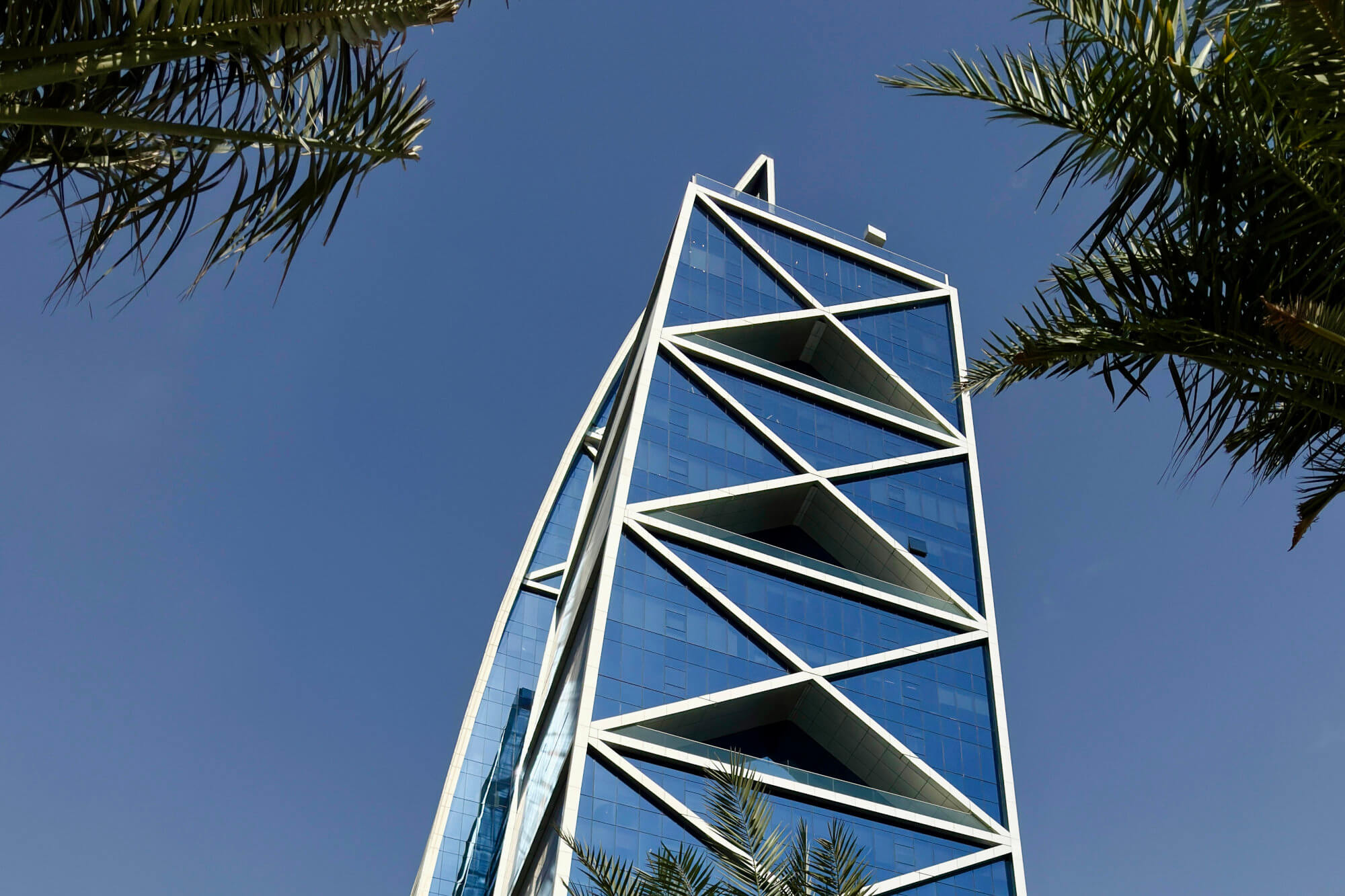 Looking up at a skyscraper with palm trees in the periphery.