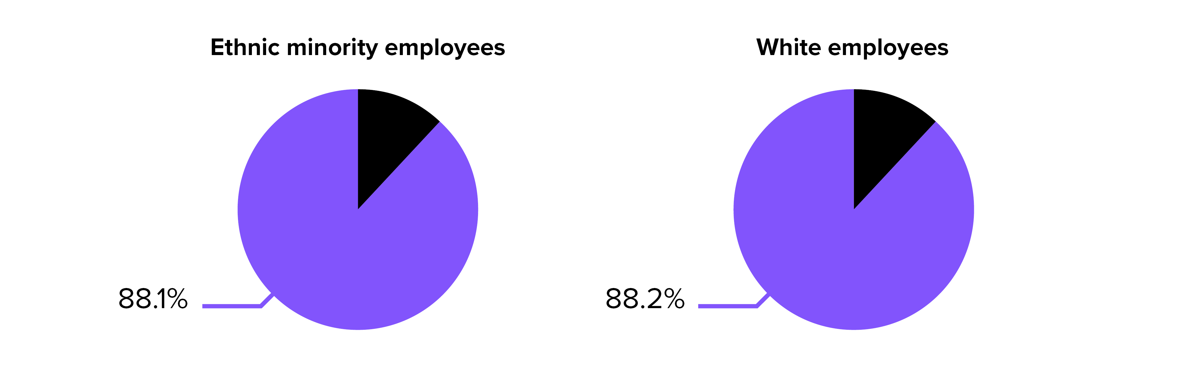 EthnicityBonusGapPercentage_WhiteBackground .jpg