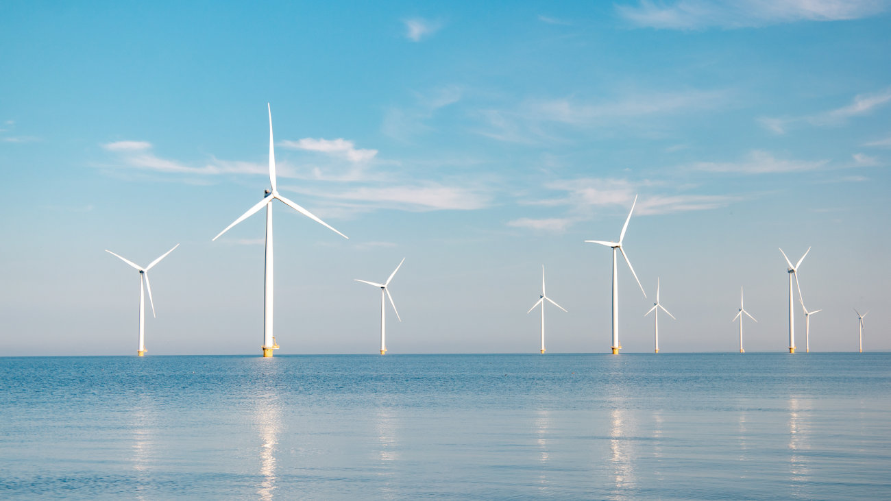 An offshore wind farm.