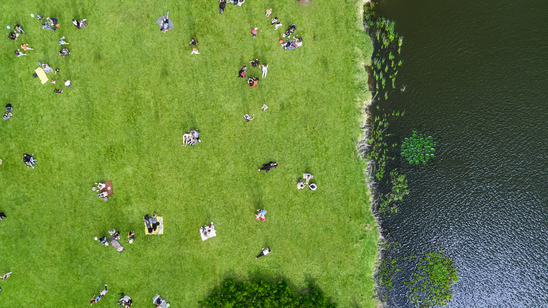 Birdseye view of a park and river showing people sunbathing