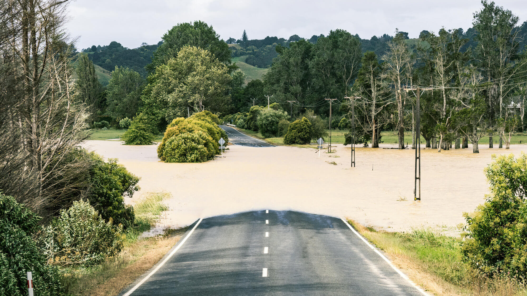 Flooded road surrounded by trees.