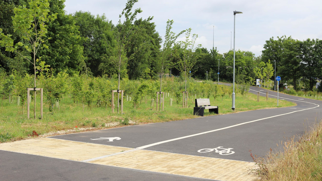 Trees and a bench beside a cycle path.